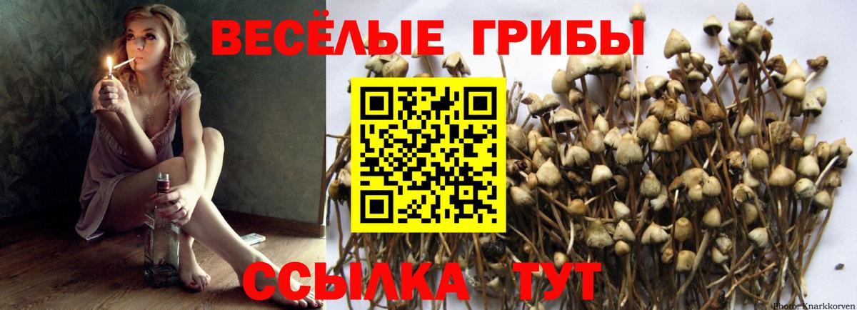 Галлюциногенные грибы MAGIC MUSHROOMS Обнинск
